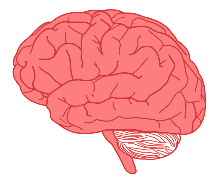 Free Cute Brain Cliparts, Download Free Cute Brain Cliparts png images ...