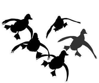 Duck Hunting Clipart 