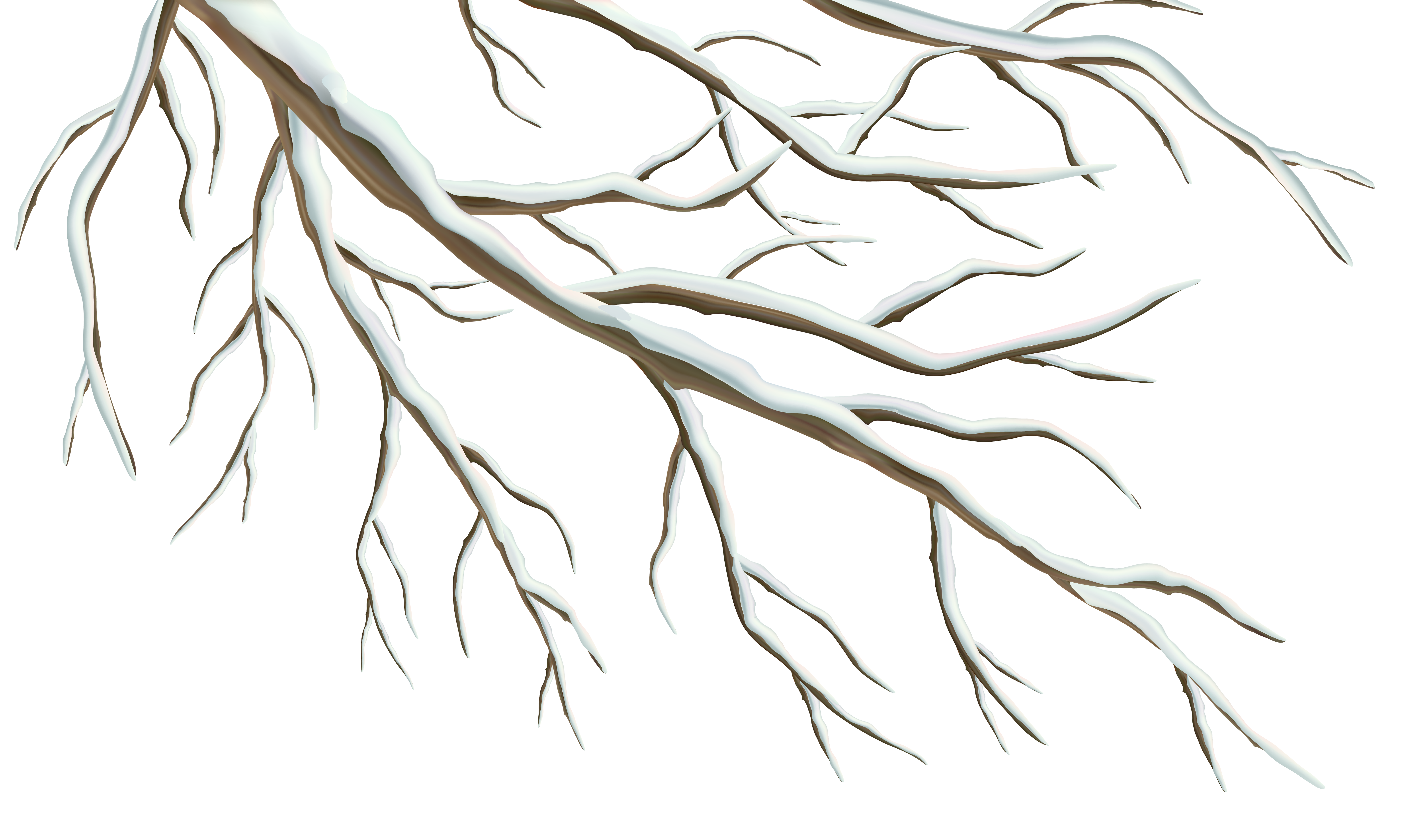 Winter Branch PNG Clipart Image 