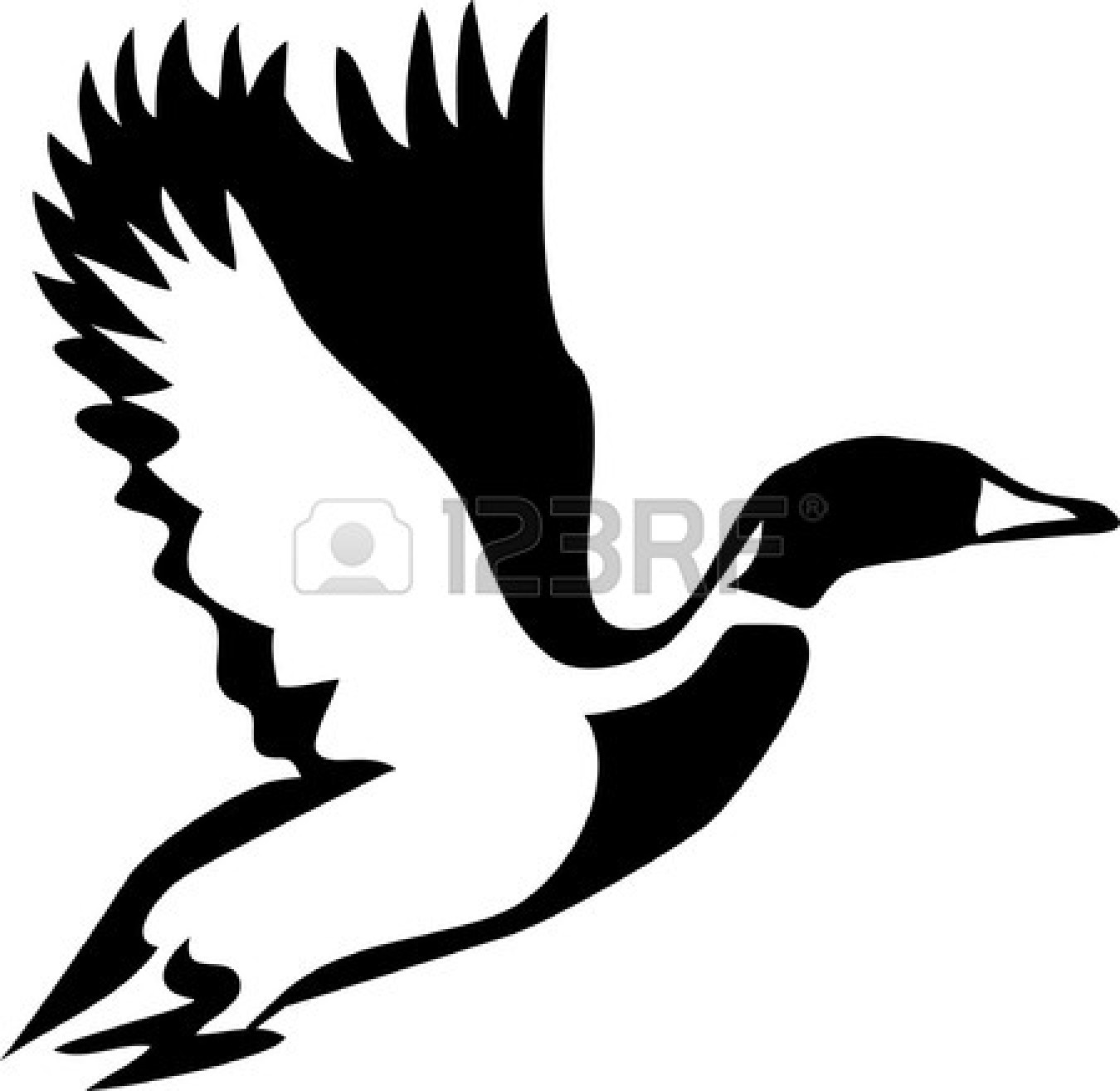 Flying Duck Clipart 