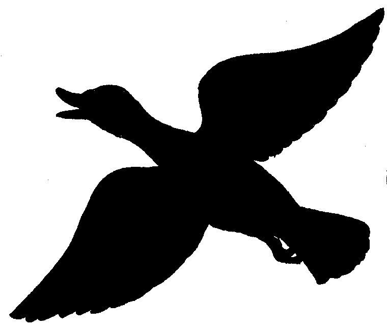 Flying duck silhouette clip art 