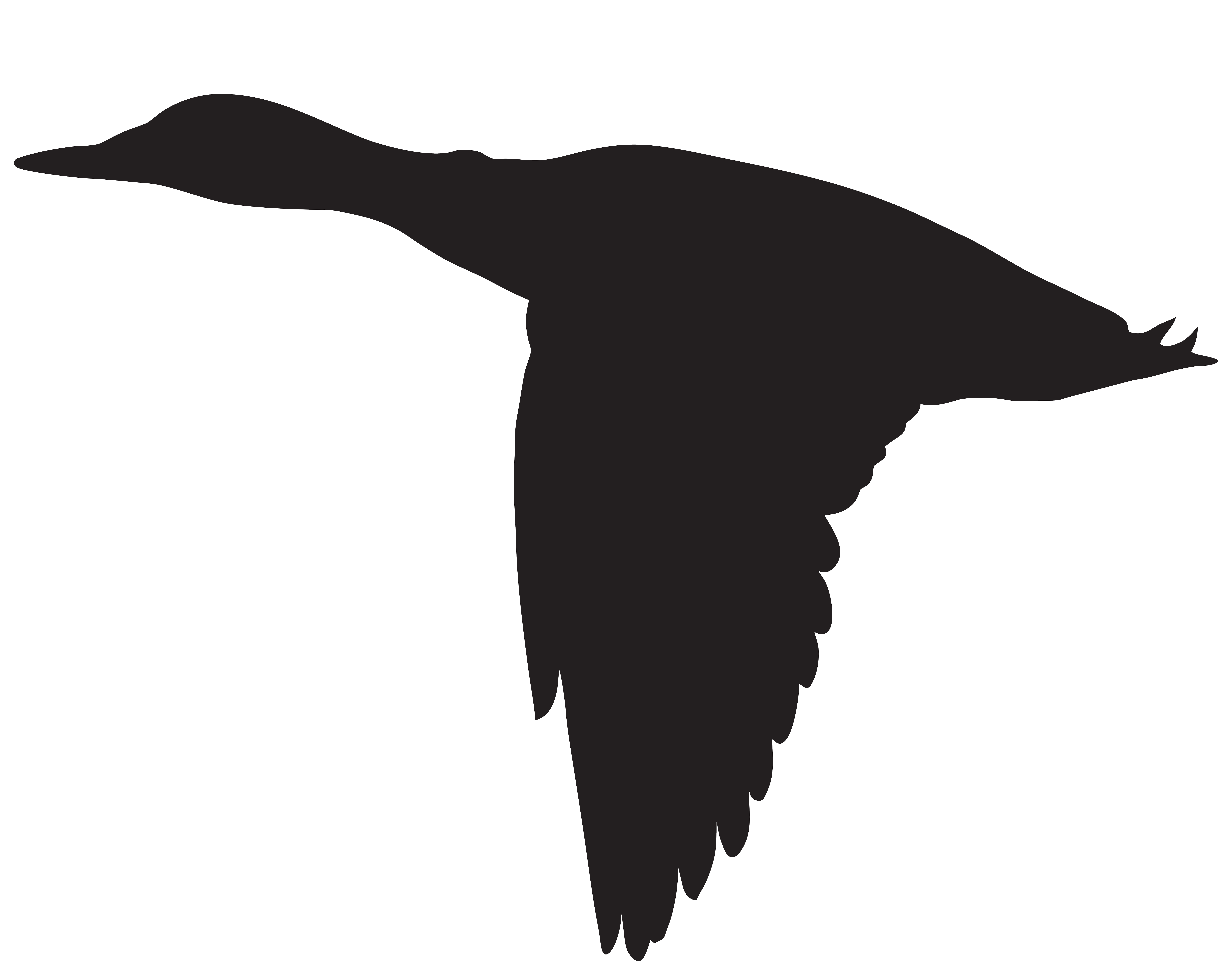 Duck Flying Silhouette PNG Clip Art Image 