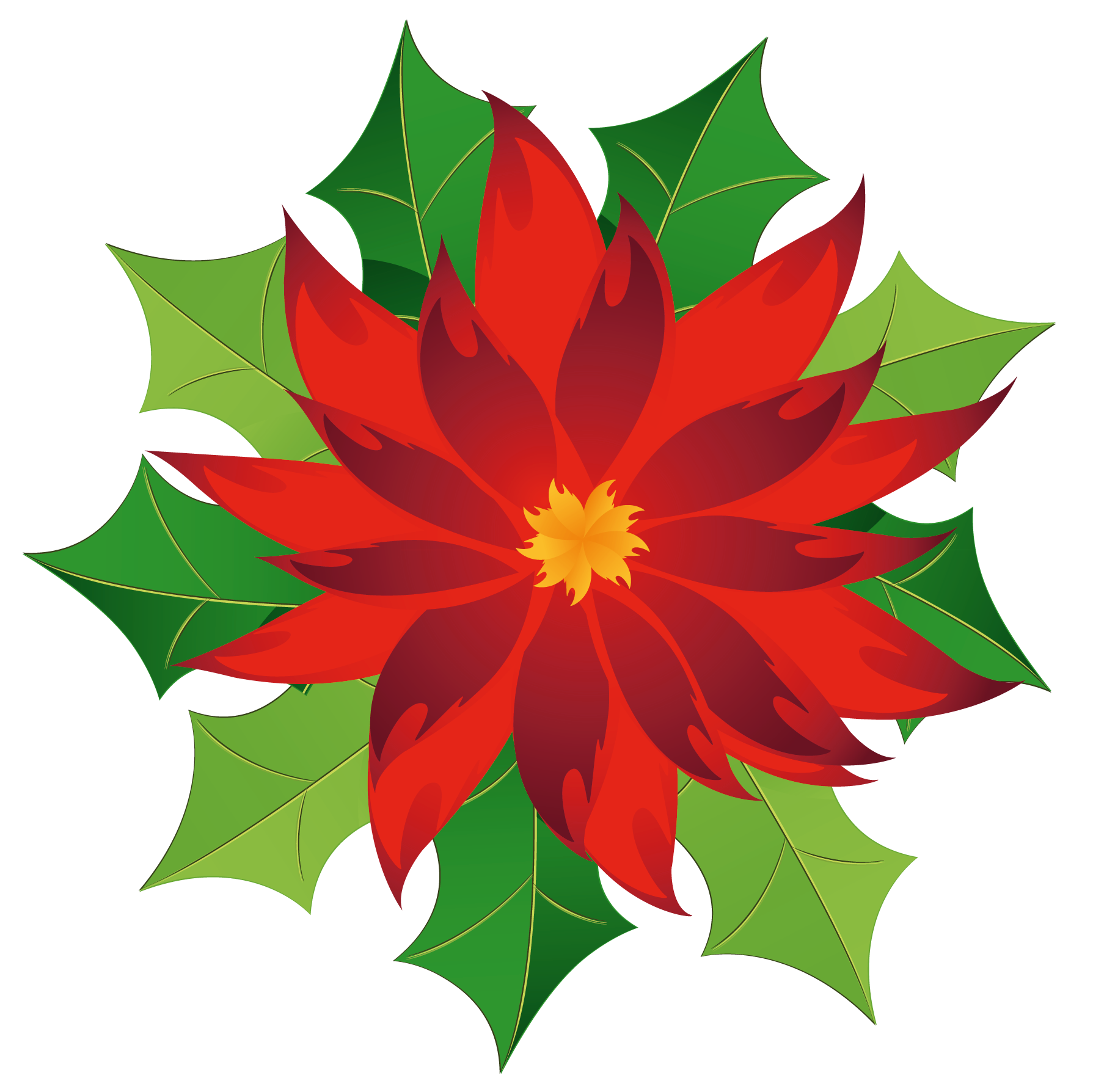 Poinsettia Border Cliparts