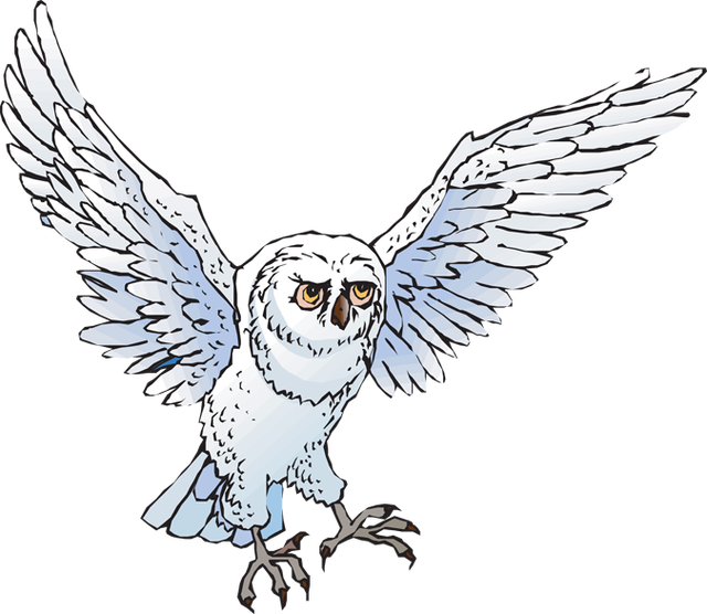 Snow Owl Clipart 