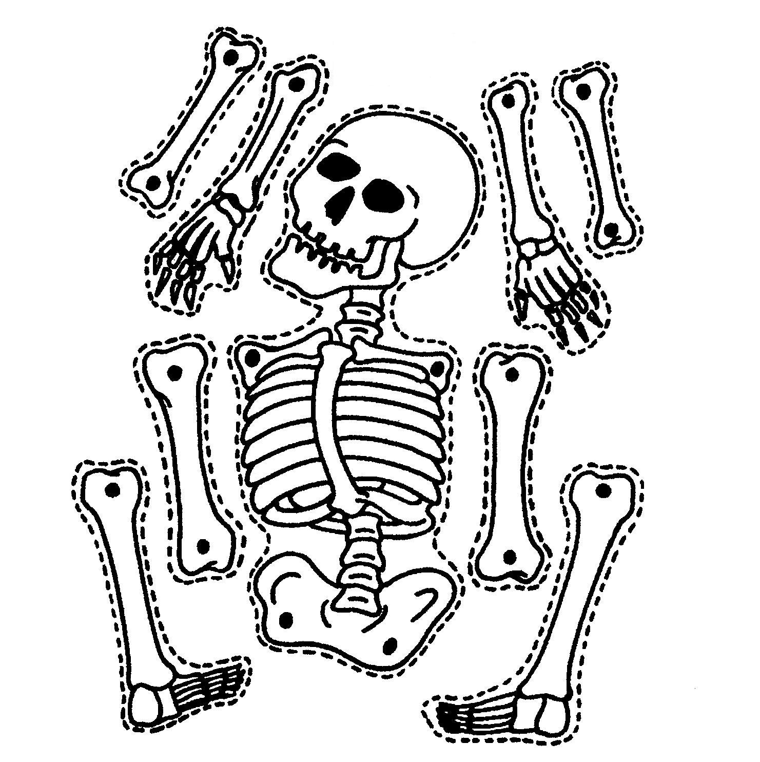 Printable Skeleton Cut Out Clip Art Library