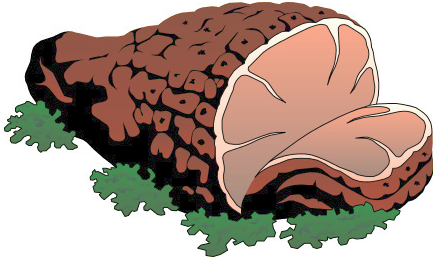 Easter Ham Clipart 