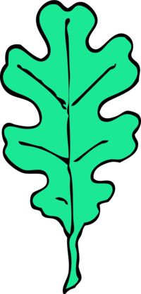 oak leaf 