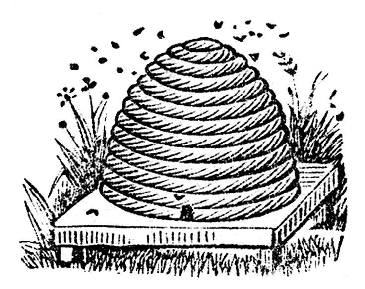 Vintage Bee Hive Clipart 