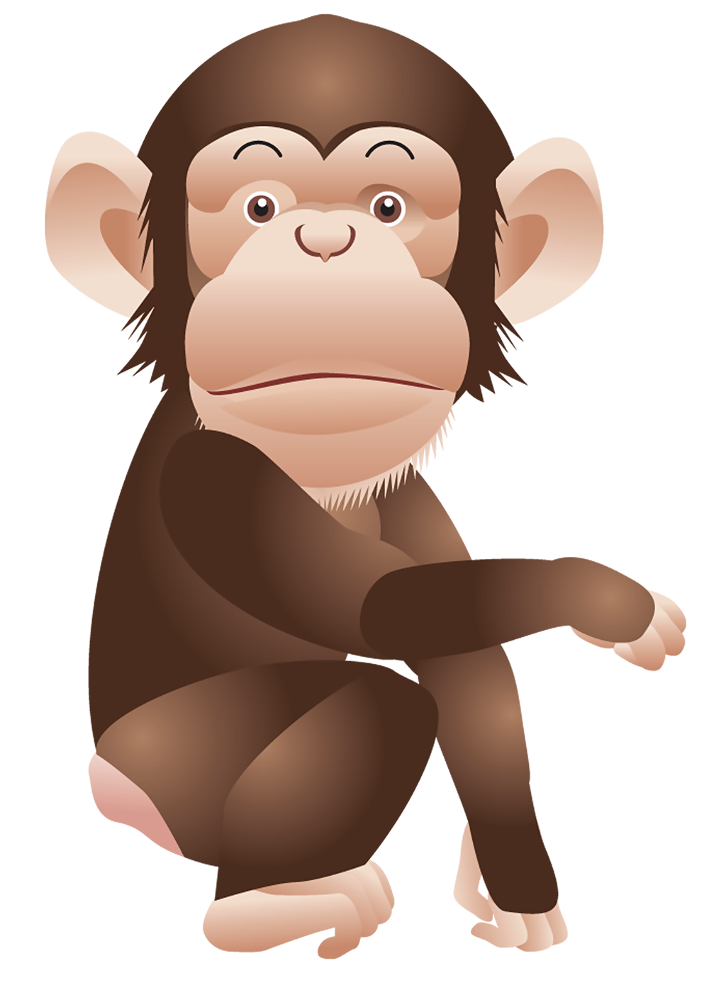 Monkey PNG Clipart Picture 