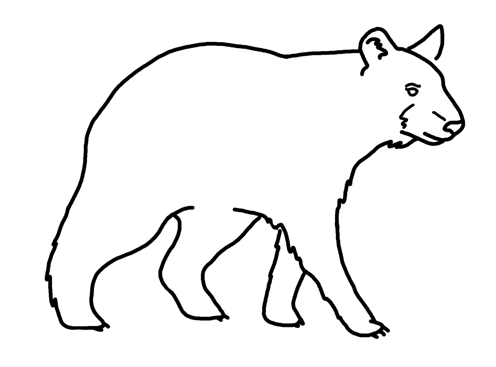 Bear Drawing 
