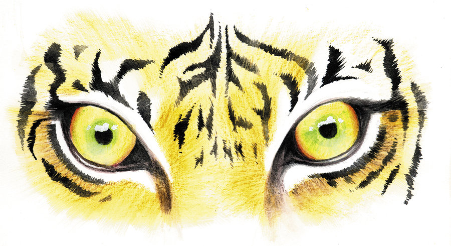 Tiger Eyes Clipart 