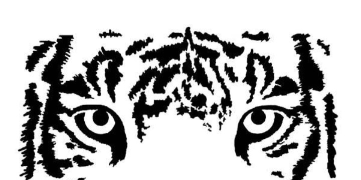 Tiger Eyes Stencil 