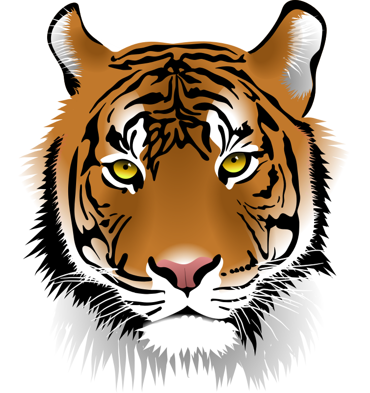 Tiger Eyes Black And White Clipart 
