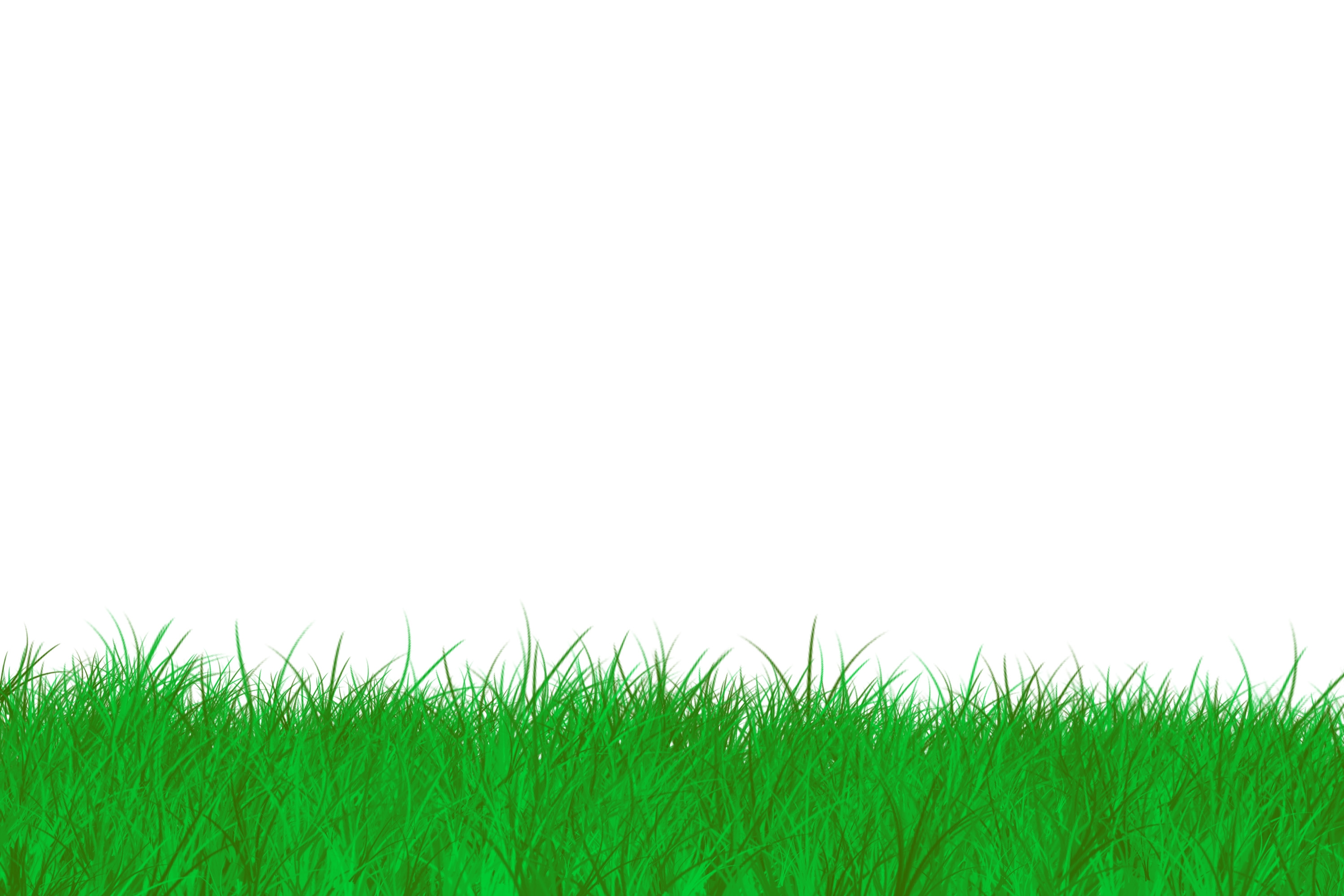 grass background - Clip Art Library
