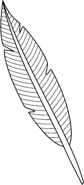 Simple Feather Outline Clip Art 12992 