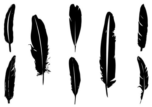 Feather image clip art 
