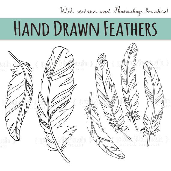 Feather Drawing 