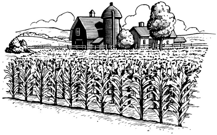 farm scene silhouette