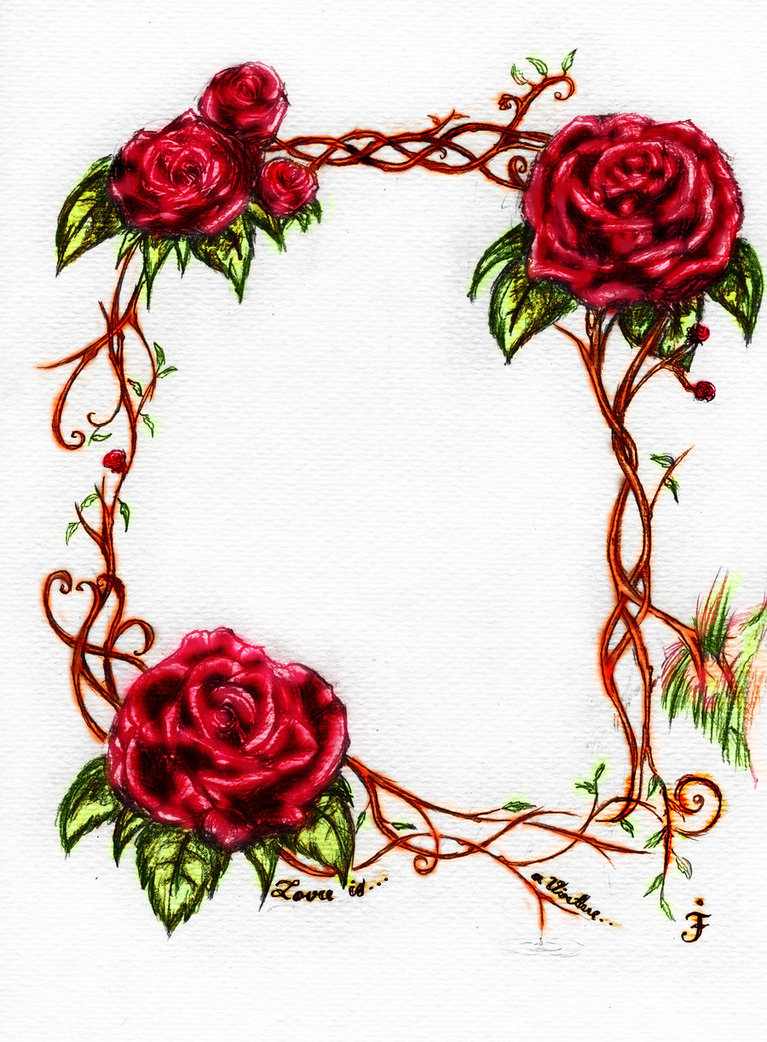 rose border with thorns