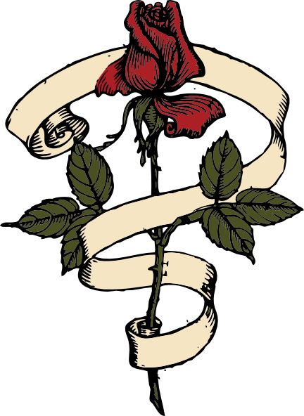 Rose Vine Drawings 