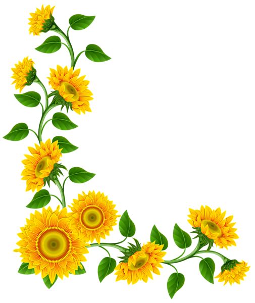 Sunflower vine for invite 