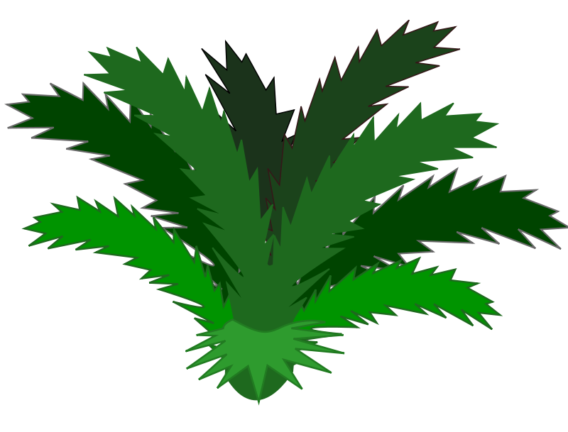 Single Palm Leaf Clipart 