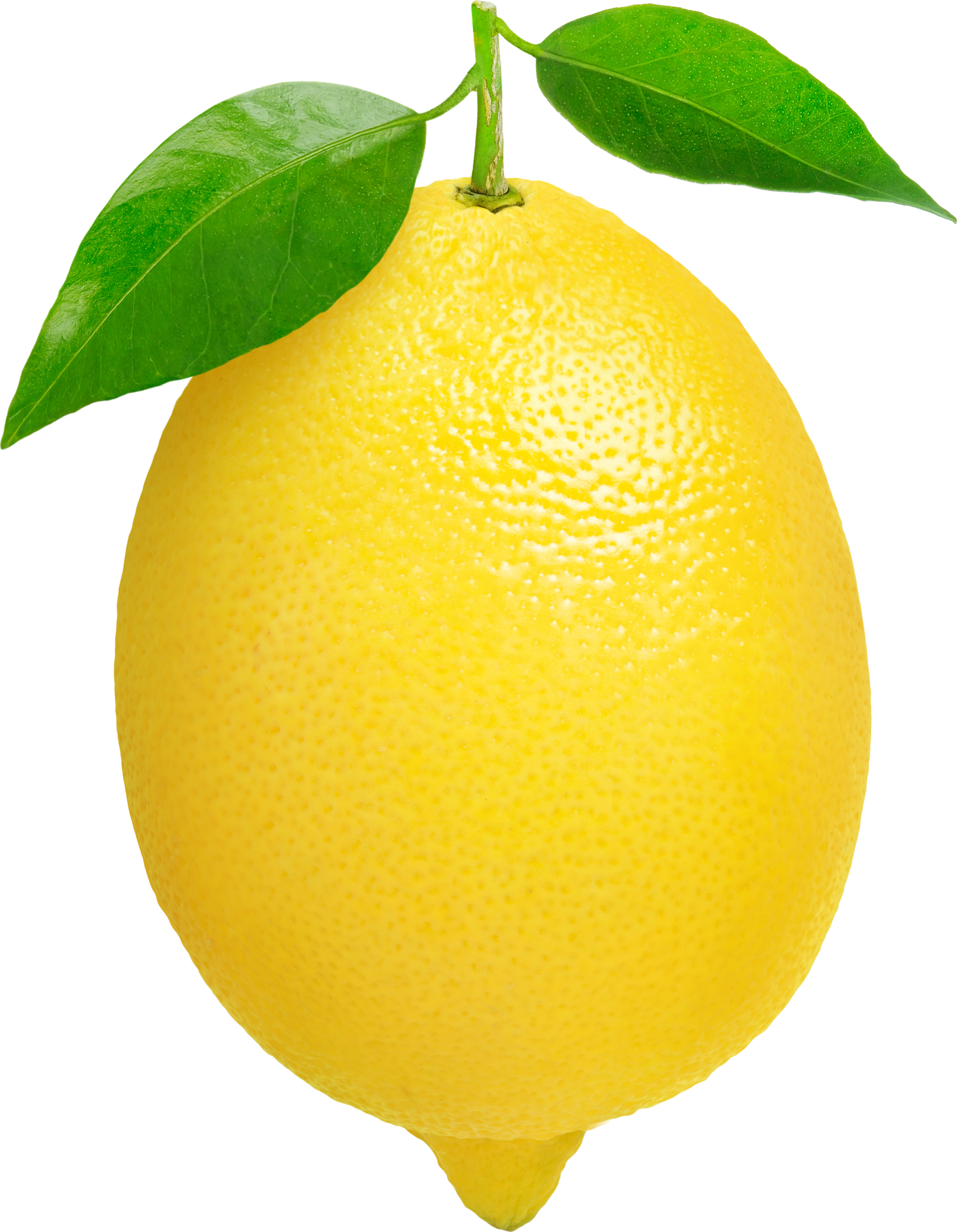 Free Lemon Transparent Background, Download Free Lemon Transparent ...