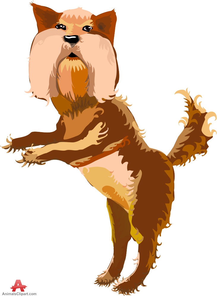 Yorkshire Terrier Dog Clipart 
