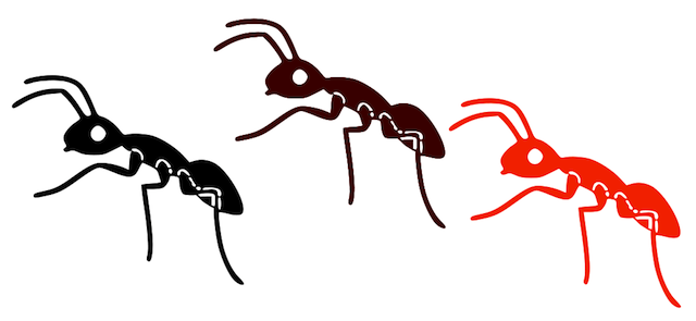 Ants Marching Clipart 