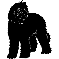 Companion Dogs Dog Breeds Vector Art Vector Graphics DXF Clip Art 