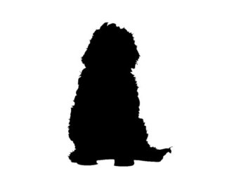 Labradoodle black and white clipart silhouette 