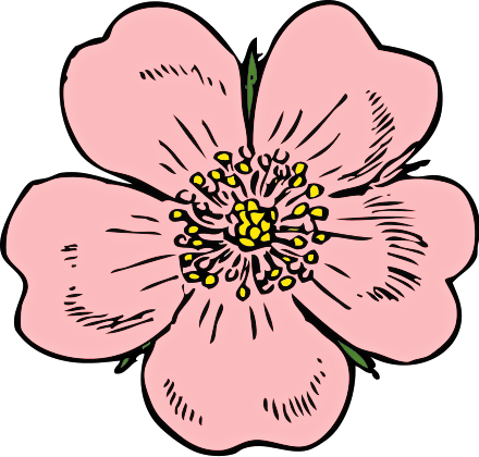 Poppy Flower Cliparts