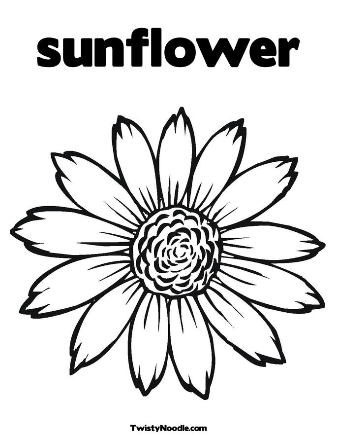 Sunflower Black And White Clipart 