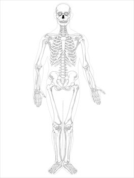 Free Skeleton Cliparts