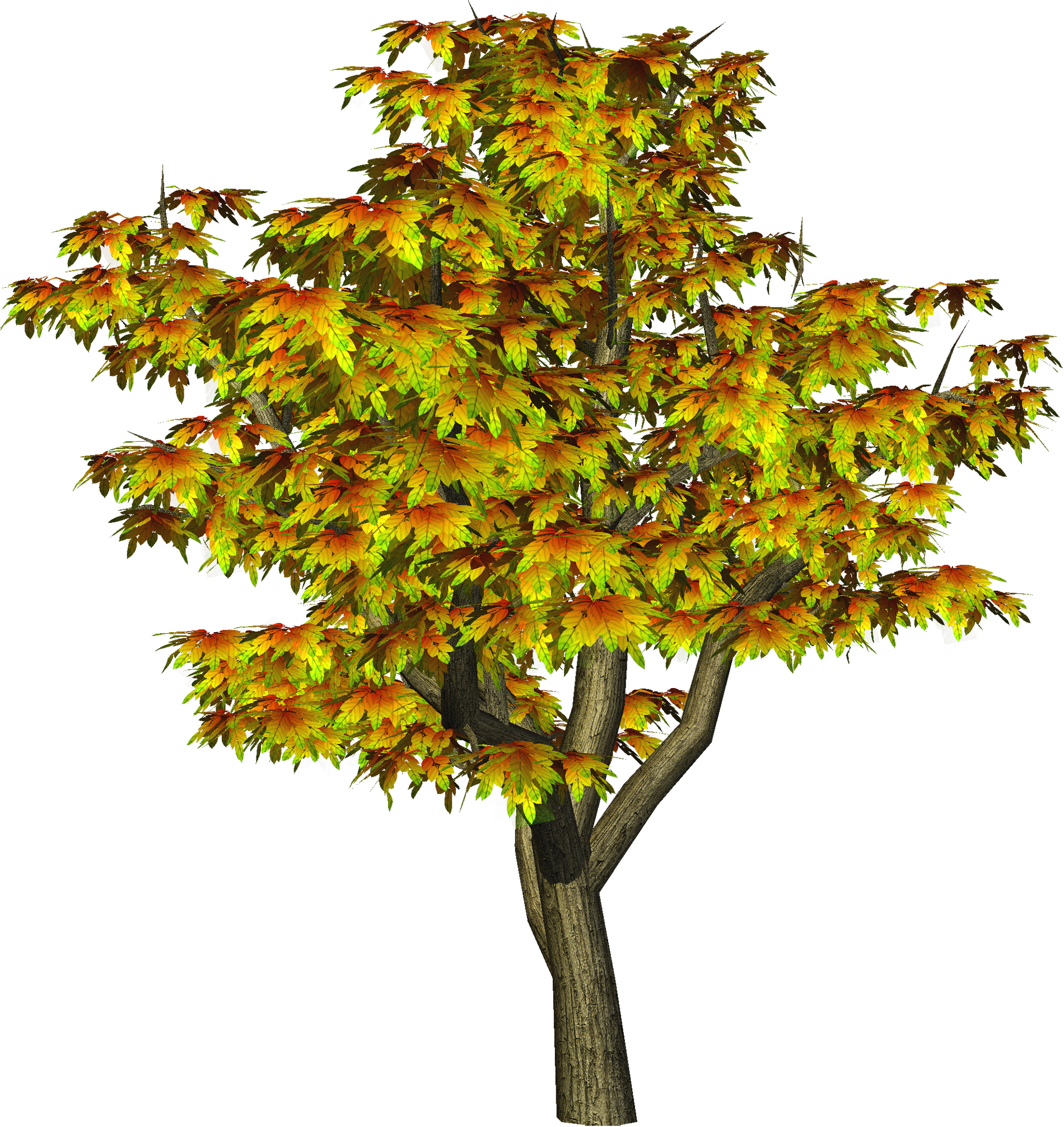 autumn tree png