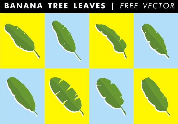 Banana tree leaf outline clipart 