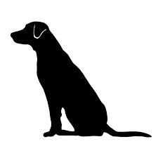 Art, Labradors and Search 