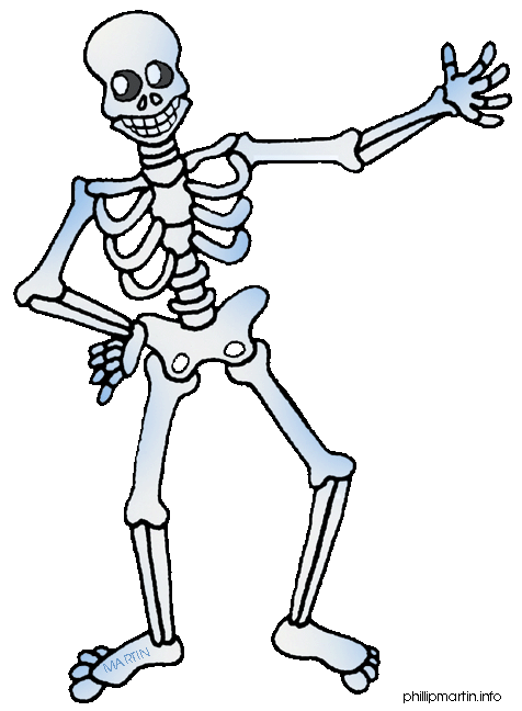 Funny skeleton clipart 