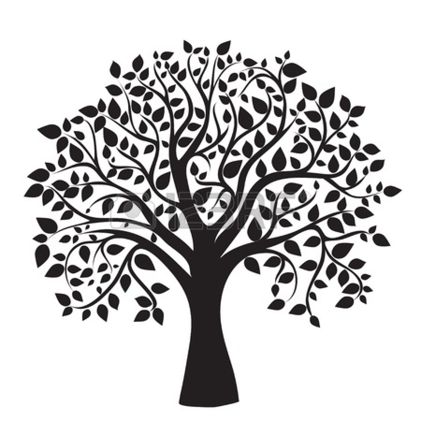 Maple Tree Black And White Clipart 