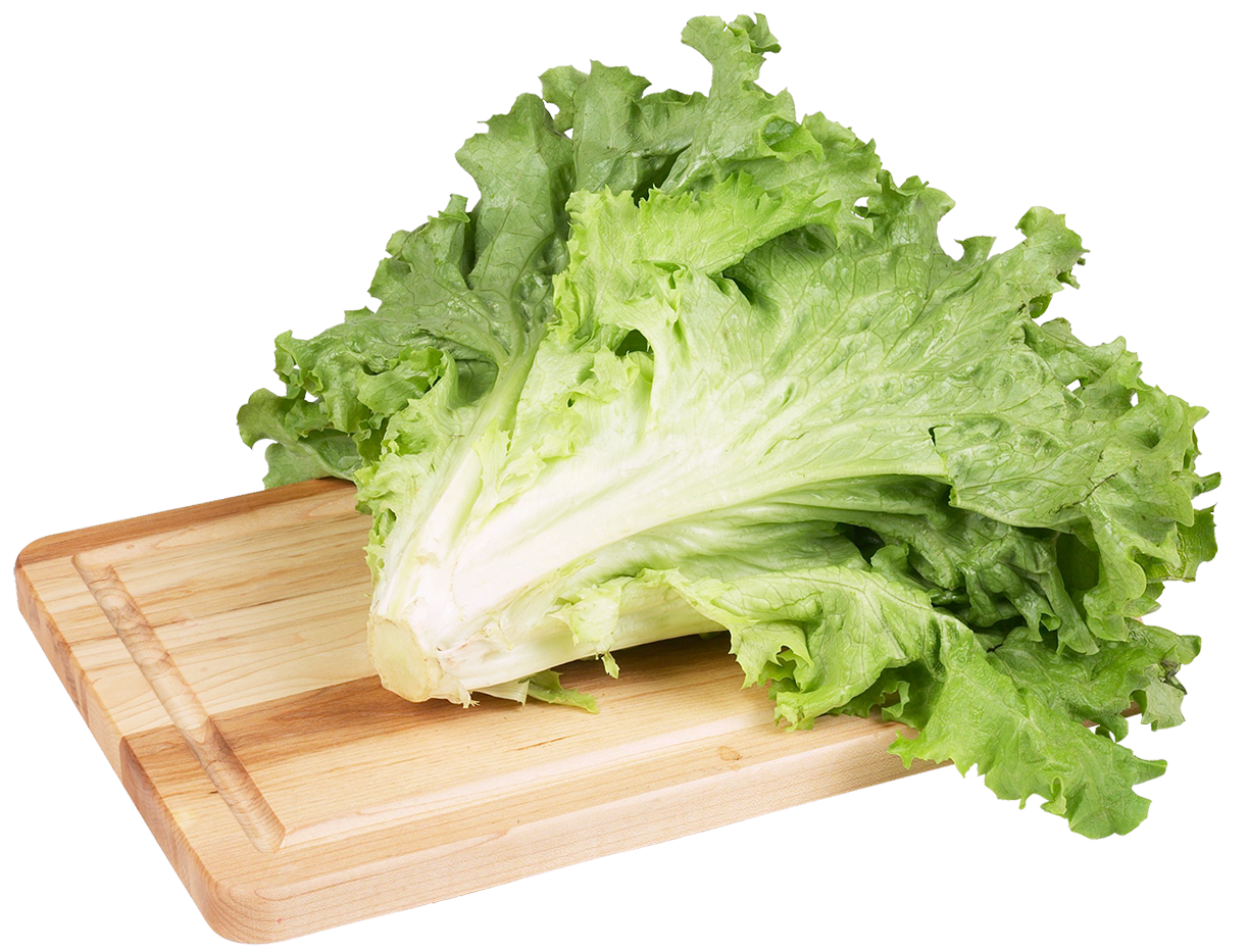 Green Salad Lettuce PNG Clip Art Image 