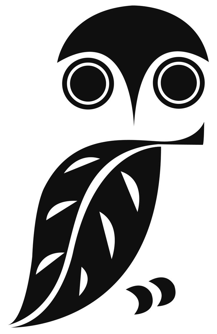 Owl Graphic 