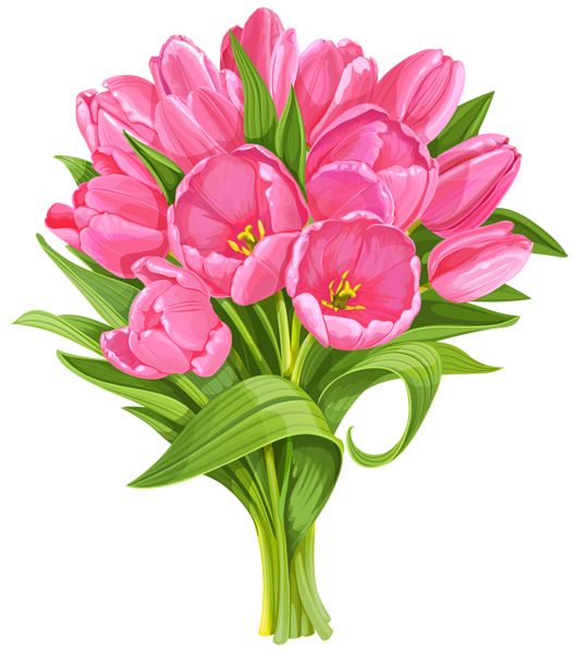 Tulip, Tulip bouquet and Bouquets 