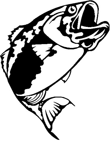 Largemouth Bass Outline 