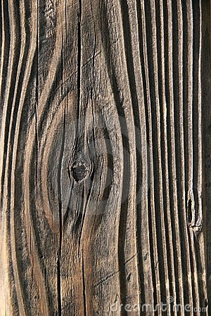 Wood grain clip art 