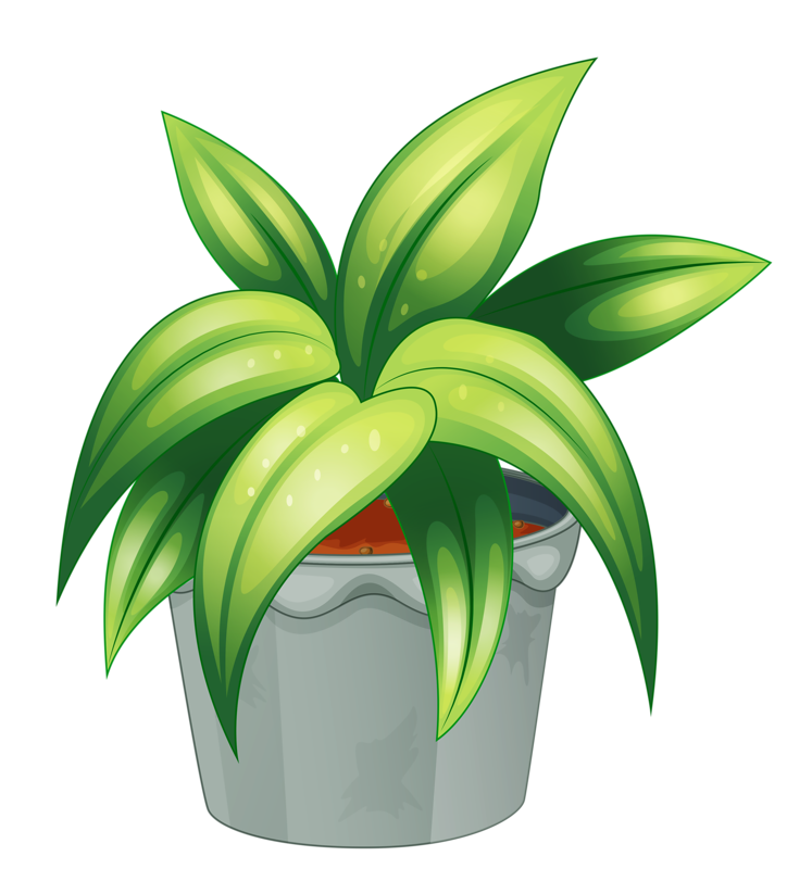 Free Potted Plant Cliparts, Download Free Potted Plant Cliparts png ...