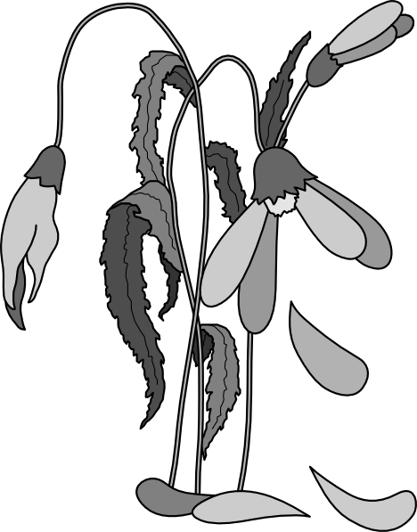 Dead Flower Clipart 