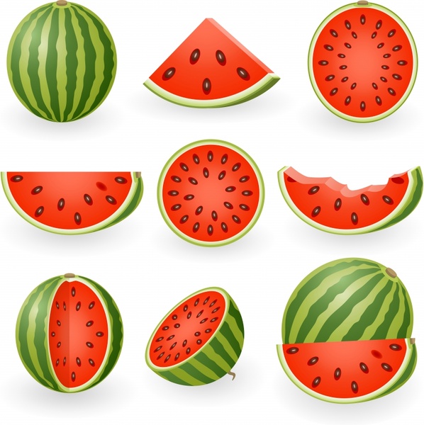 Watermelon free vector download 