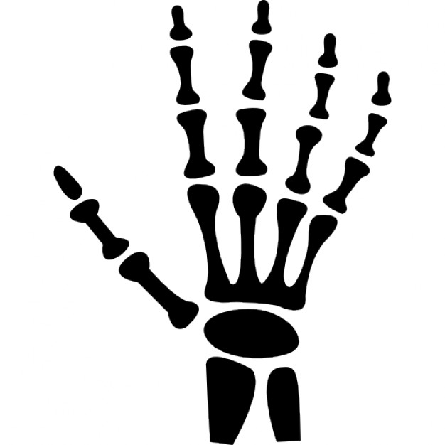 Human hand bones Icons 