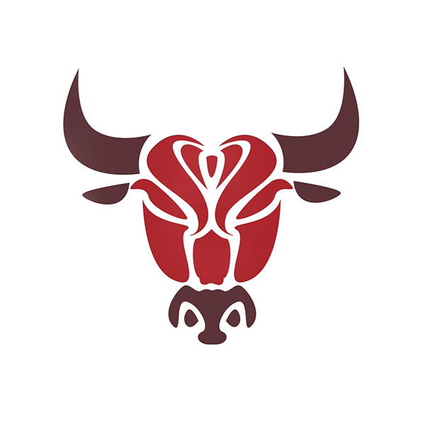Chicago Bulls logo concept on Behance
