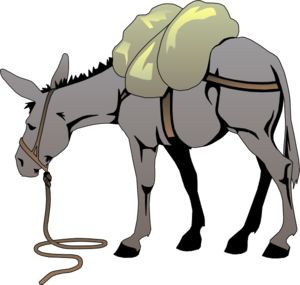 Cartoon Mule 